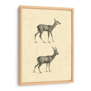 Venado Vintage I - Vision Studio | Cuadro decorativo de Canvas Lab