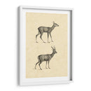 Venado Vintage I - Vision Studio | Cuadro decorativo de Canvas Lab