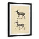 Vintage Deer Ii - Vision Studio | Cuadro decorativo de Canvas Lab