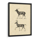 Vintage Deer Ii - Vision Studio | Cuadro decorativo de Canvas Lab