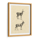 Antílope Vintage - Vision Studio | Cuadro decorativo de Canvas Lab