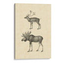 Vintage Alces - Vision Studio | Cuadro decorativo de Canvas Lab