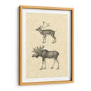Vintage Alces - Vision Studio | Cuadro decorativo de Canvas Lab