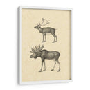 Vintage Alces - Vision Studio | Cuadro decorativo de Canvas Lab