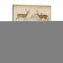 Especies No Adornadas De Ciervos. | Cuadro decorativo de Canvas Lab