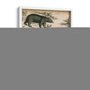 Especies De Oso No Adornado | Cuadro decorativo de Canvas Lab