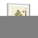 Pequeño Helecho Antiguo Vi - Vision Studio | Cuadro decorativo de Canvas Lab
