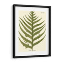 Pequeño Helecho Antiguo Viii - Vision Studio | Cuadro decorativo de Canvas Lab