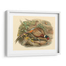 Gould Faasants I - John Gould | Cuadro decorativo de Canvas Lab