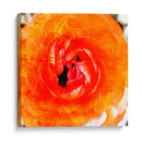 Parientes Iii - Danielle Harrington | Cuadro decorativo de Canvas Lab