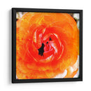 Parientes Iii - Danielle Harrington | Cuadro decorativo de Canvas Lab