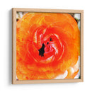 Parientes Iii - Danielle Harrington | Cuadro decorativo de Canvas Lab