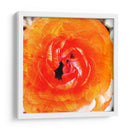 Parientes Iii - Danielle Harrington | Cuadro decorativo de Canvas Lab