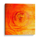 Parientes Iv - Danielle Harrington | Cuadro decorativo de Canvas Lab