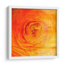 Parientes Iv - Danielle Harrington | Cuadro decorativo de Canvas Lab