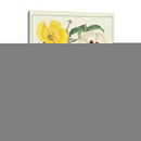 Jardineros Deleite Iii - Sydenham Edwards | Cuadro decorativo de Canvas Lab