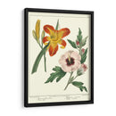 Jardineros Delicia Iv - Sydenham Edwards | Cuadro decorativo de Canvas Lab