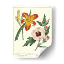 Jardineros Delicia Iv - Sydenham Edwards | Cuadro decorativo de Canvas Lab