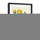 Jardineros Deleite Vii - Sydenham Edwards | Cuadro decorativo de Canvas Lab