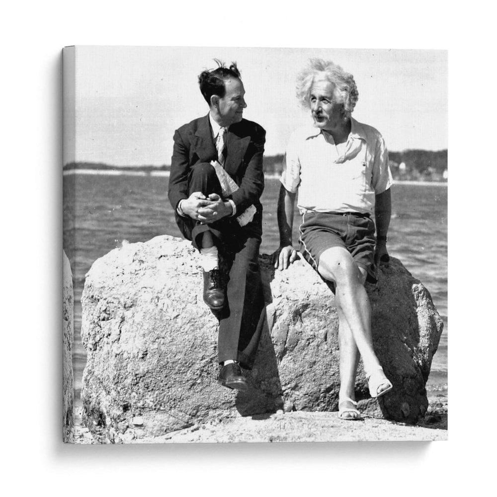 David Rothman y Albert Einstein | Cuadro decorativo de Canvas Lab