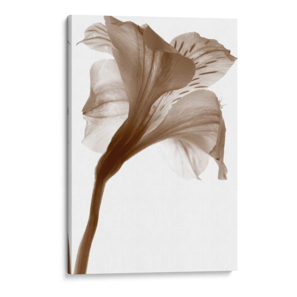 Inflorescencia I - A. Project | Cuadro decorativo de Canvas Lab
