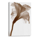 Inflorescencia I - A. Project | Cuadro decorativo de Canvas Lab