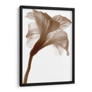 Inflorescencia I - A. Project | Cuadro decorativo de Canvas Lab