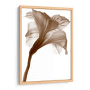 Inflorescencia I - A. Project | Cuadro decorativo de Canvas Lab