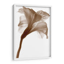 Inflorescencia I - A. Project | Cuadro decorativo de Canvas Lab