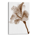 Inflorescencia Ii - A. Project | Cuadro decorativo de Canvas Lab