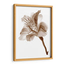 Inflorescencia Ii - A. Project | Cuadro decorativo de Canvas Lab