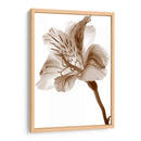 Inflorescencia Ii - A. Project | Cuadro decorativo de Canvas Lab