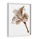 Inflorescencia Ii - A. Project | Cuadro decorativo de Canvas Lab