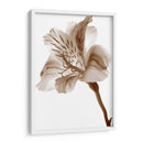 Inflorescencia Ii - A. Project | Cuadro decorativo de Canvas Lab