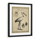 Voonbill Anticuario - Vision Studio | Cuadro decorativo de Canvas Lab