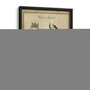 Voonbill Anticuario - Vision Studio | Cuadro decorativo de Canvas Lab