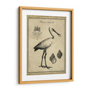 Voonbill Anticuario - Vision Studio | Cuadro decorativo de Canvas Lab