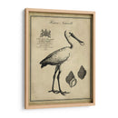 Voonbill Anticuario - Vision Studio | Cuadro decorativo de Canvas Lab