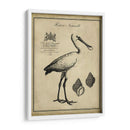 Voonbill Anticuario - Vision Studio | Cuadro decorativo de Canvas Lab