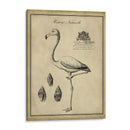 Flamenco Anticuario - Vision Studio | Cuadro decorativo de Canvas Lab