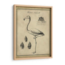 Flamenco Anticuario - Vision Studio | Cuadro decorativo de Canvas Lab