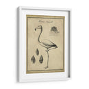 Flamenco Anticuario - Vision Studio | Cuadro decorativo de Canvas Lab