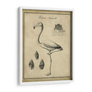 Flamenco Anticuario - Vision Studio | Cuadro decorativo de Canvas Lab