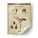 Flamenco Anticuario - Vision Studio | Cuadro decorativo de Canvas Lab