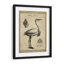 Egret Anticuario - Vision Studio | Cuadro decorativo de Canvas Lab