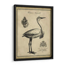 Egret Anticuario - Vision Studio | Cuadro decorativo de Canvas Lab