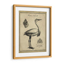 Egret Anticuario - Vision Studio | Cuadro decorativo de Canvas Lab