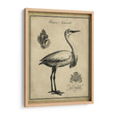 Egret Anticuario - Vision Studio | Cuadro decorativo de Canvas Lab