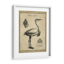 Egret Anticuario - Vision Studio | Cuadro decorativo de Canvas Lab