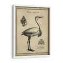 Egret Anticuario - Vision Studio | Cuadro decorativo de Canvas Lab